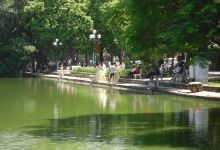 Staring Lake Park景点图片