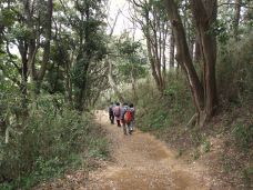 Daibutsu Hiking Trail-镰仓市