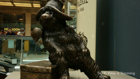 Paddington Bear