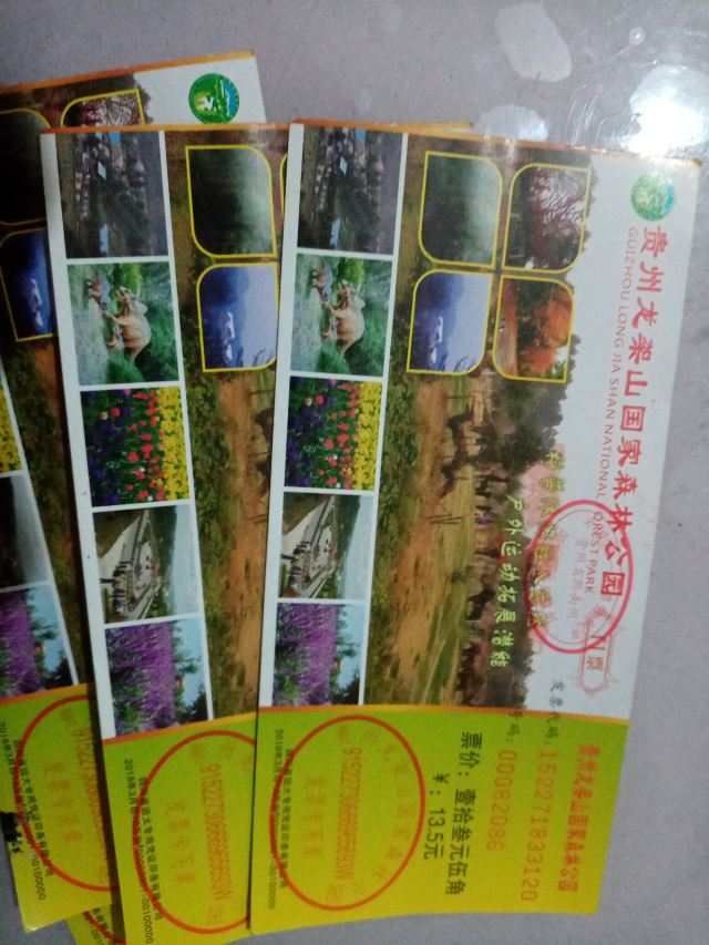 贵州龙架山国家森林公园旅行图片 2