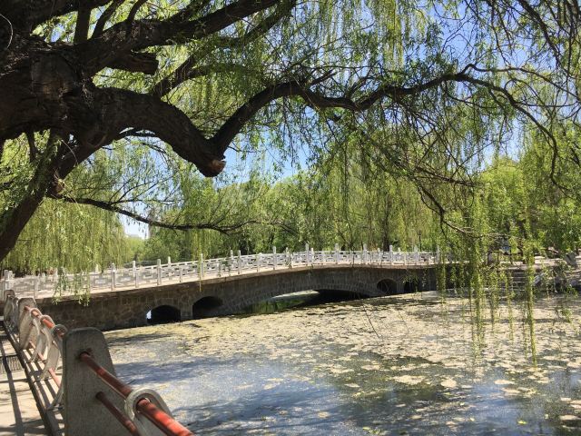 满都海公园旅行图片 2