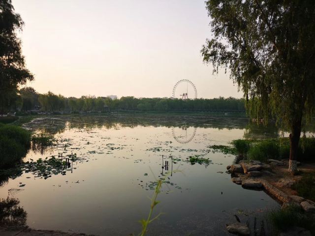 龙潭西湖公园旅行图片 1