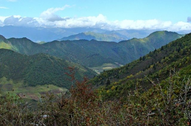 青海互助北山国家森林地质公园浪士当中心景区(暂停开放)旅行图片 1