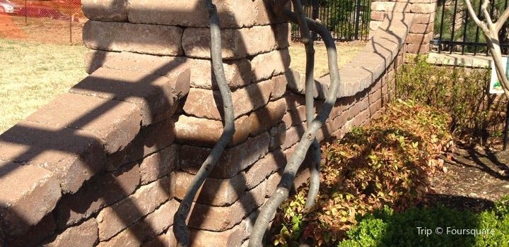 Linnaeus Teaching Gardens Travel Guidebook Must Visit Attractions