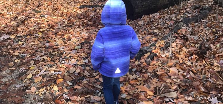 Inniswood Metro Gardens Travel Guidebook Must Visit Attractions