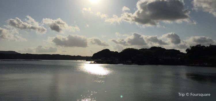 Promo  80  Off  Kuju Kushima Bayside Hotel Resort Flags Japan Hotel