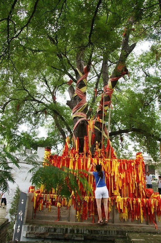 洪洞大槐樹尋根祭祖園
