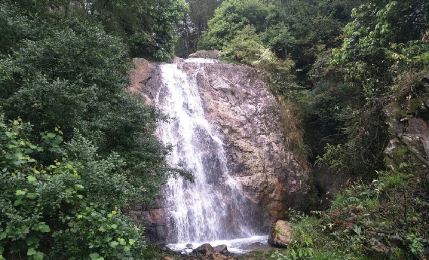 田园风味餐厅图片