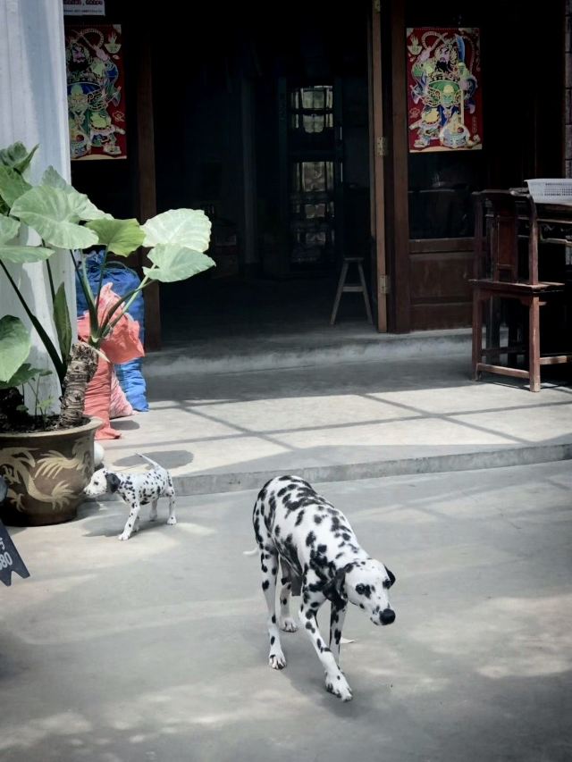 芹川村