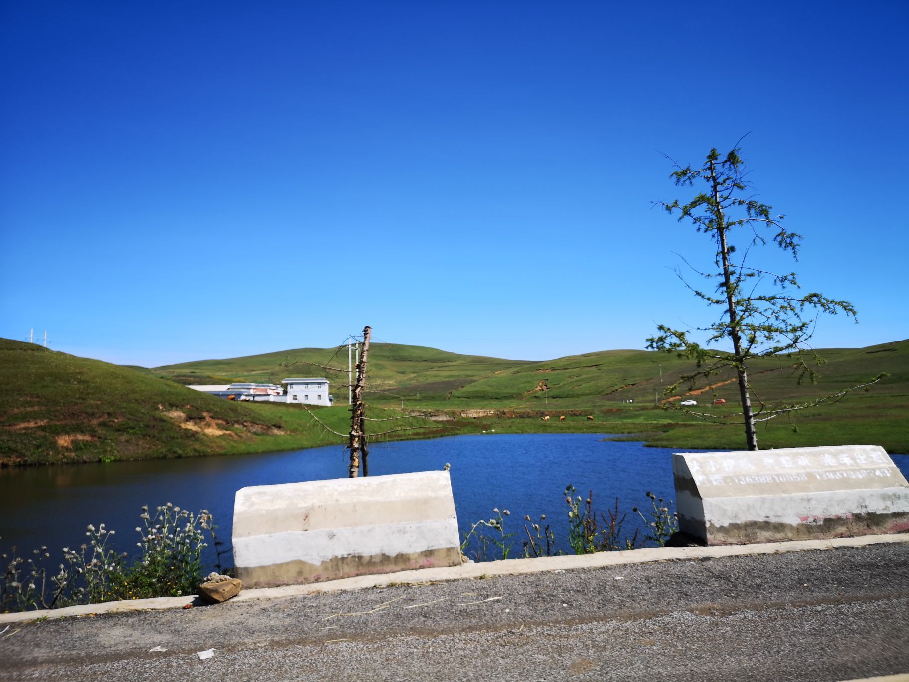 中海子湿地