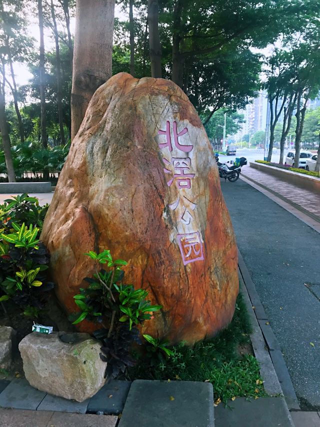 北滘公园旅行图片 2
