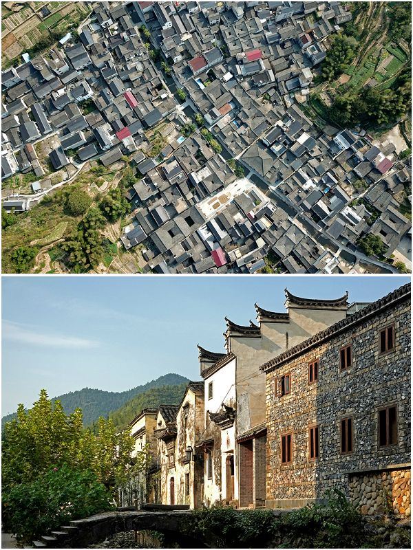 芹川村