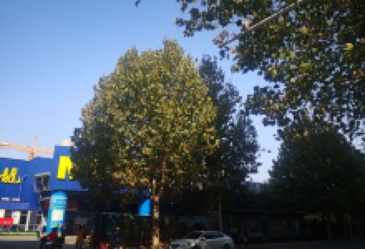 麦德龙会员店(黄岛商场店)购物图片