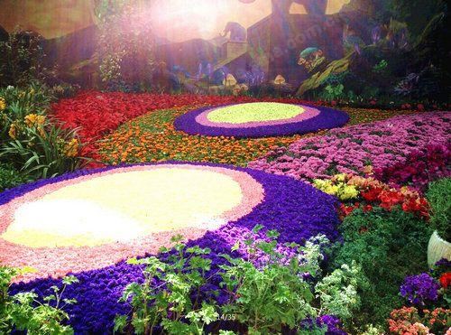 花之城