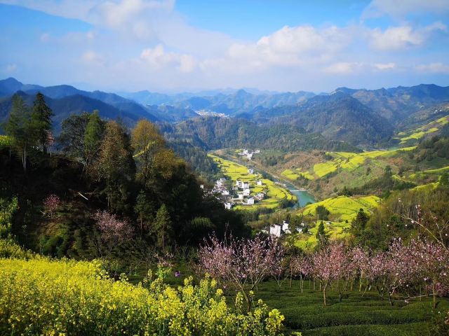 石潭村旅行图片 5