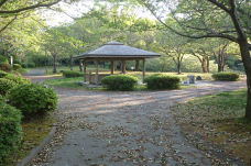 Tagayama Park-鹿儿岛-陶乐诗