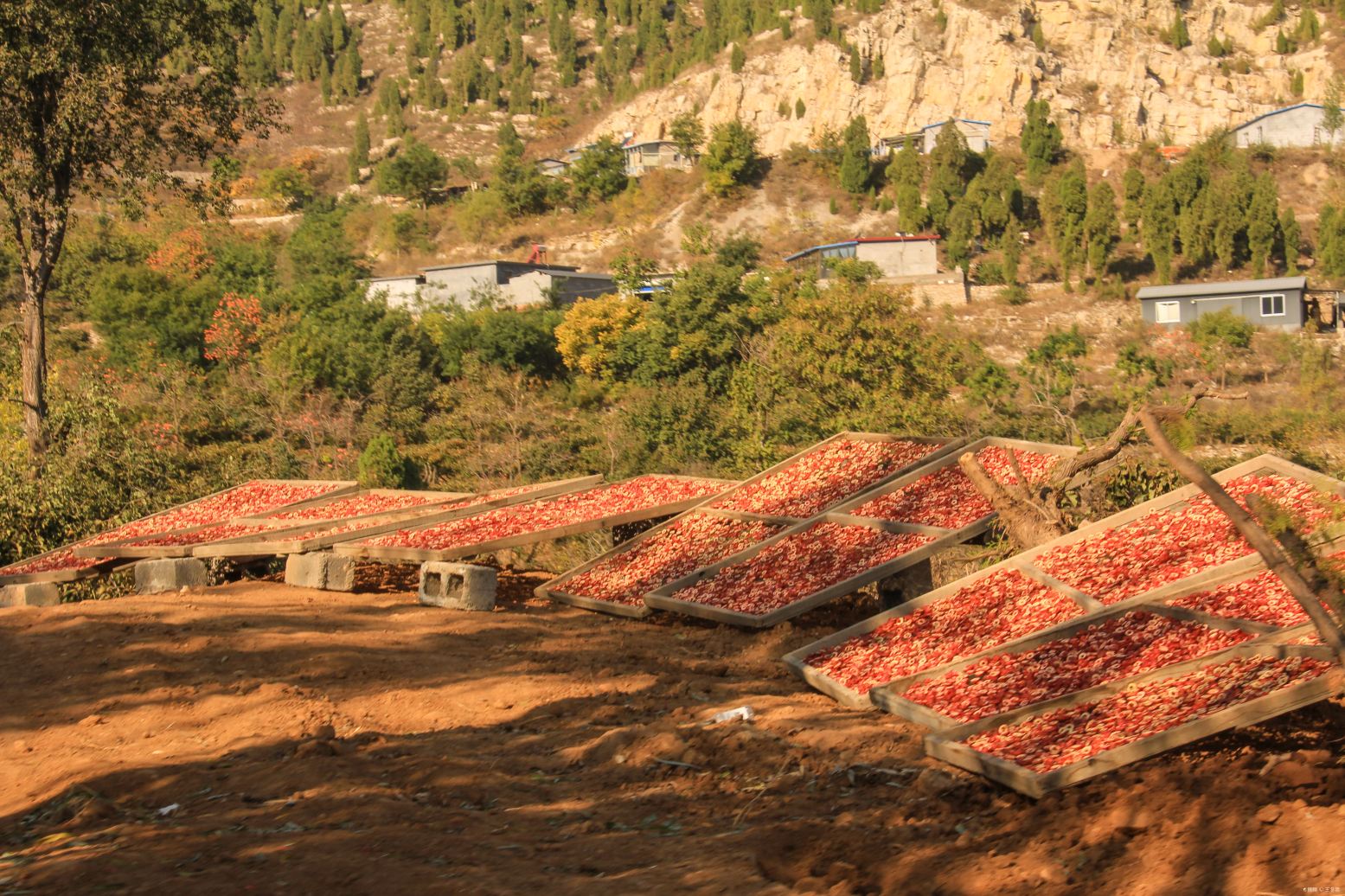 青州井塘古村景区景点图片