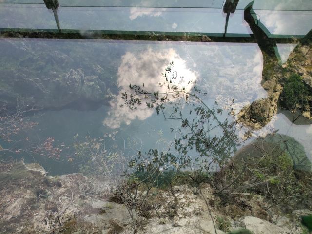 洒金公园旅行图片 9