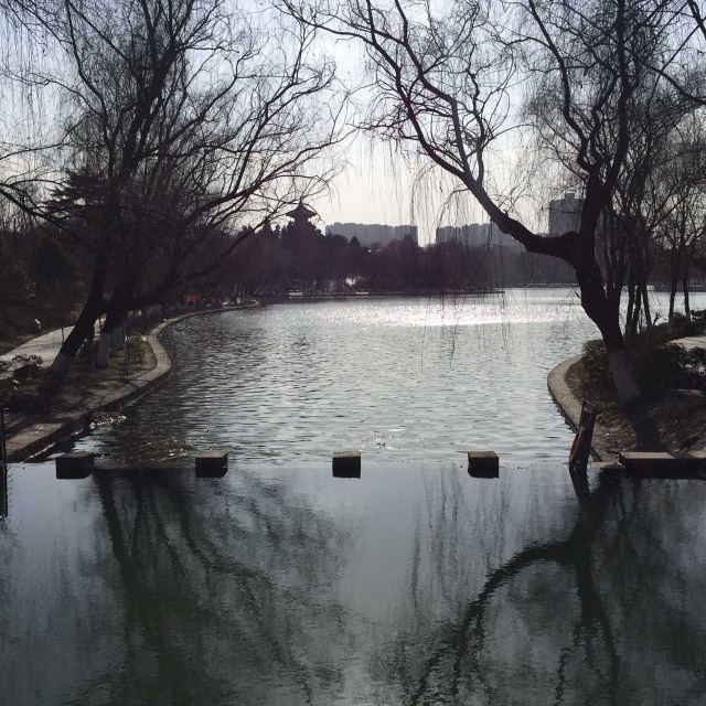 兴庆宫公园旅行图片 2