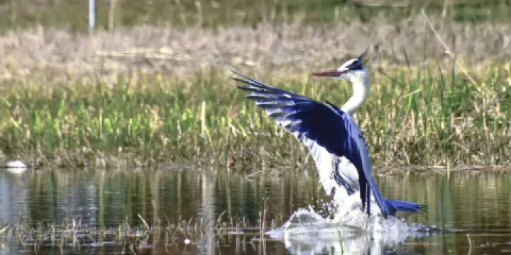湖北鬆滋萬米長城濱湖公園