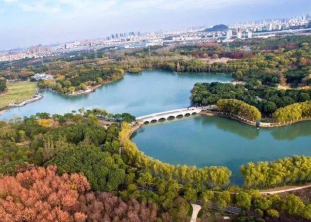 昆山市城市生态森林公园旅行图片 3