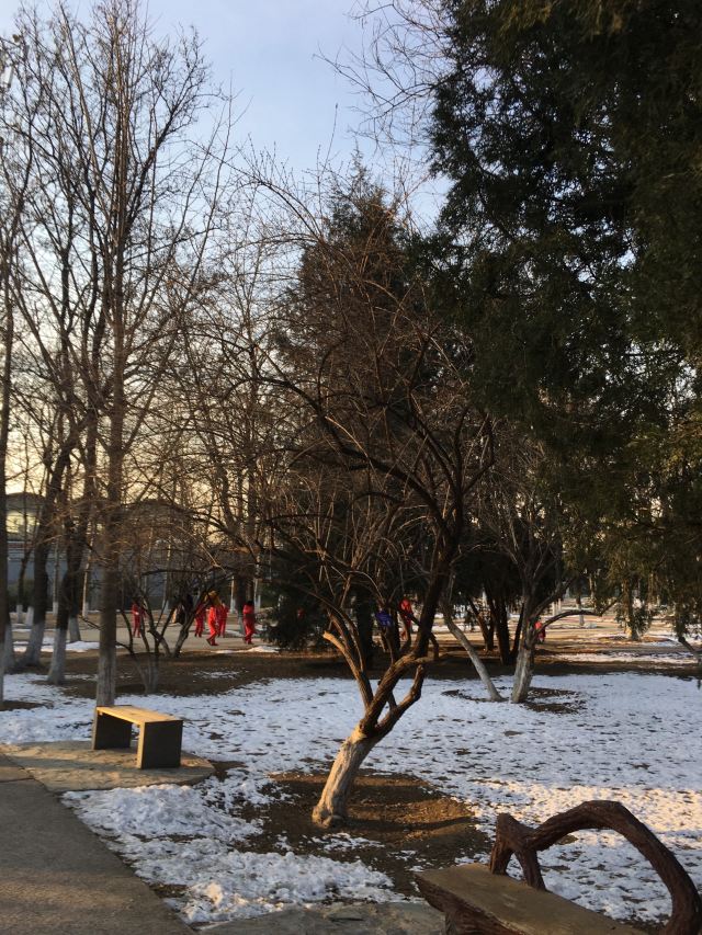 兴隆公园旅行图片 3