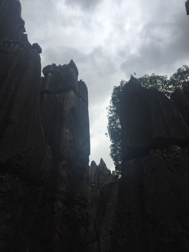 乃古石林风景区旅行图片 4