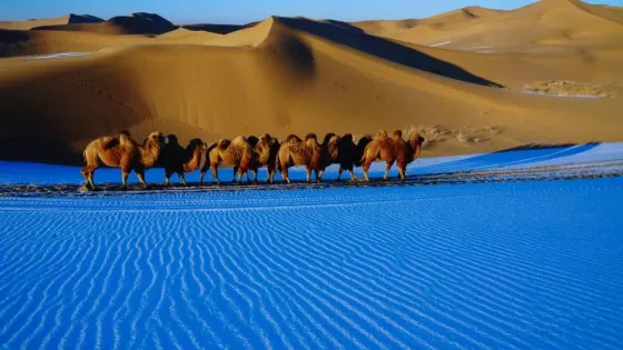 九棵樹旅遊區