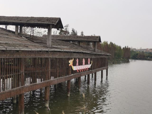华阳湖国家湿地公园旅行图片 8