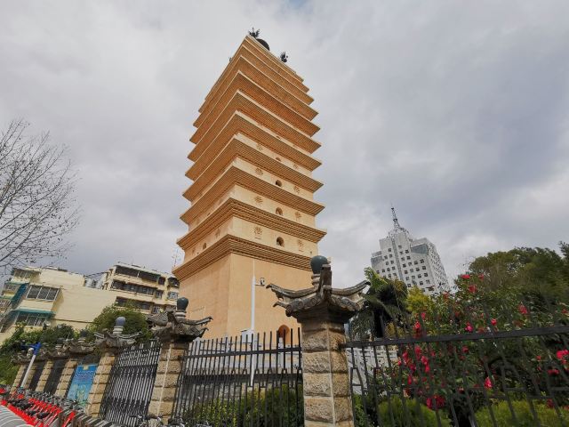 东寺塔茶花园旅行图片 3
