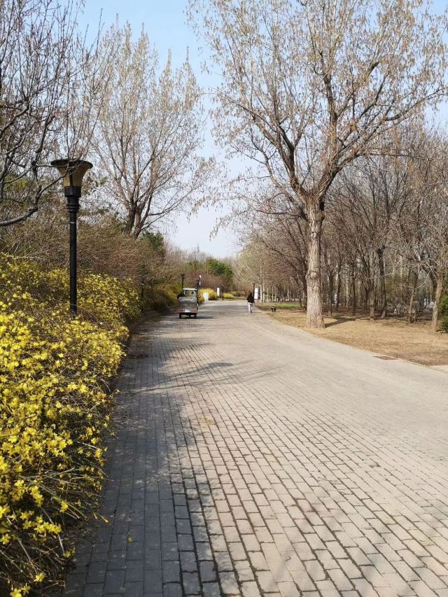 丽都花园旅行图片 2