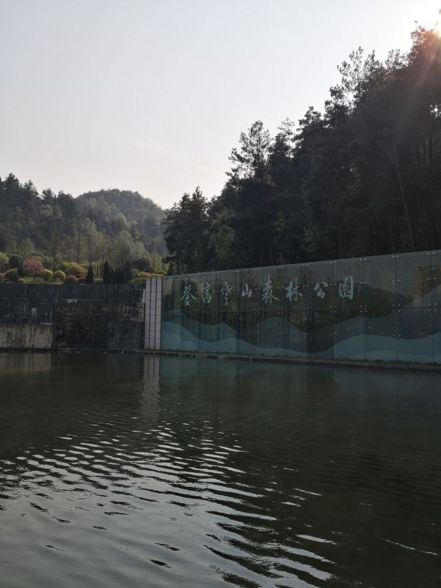 登高云山森林公园旅行图片 1
