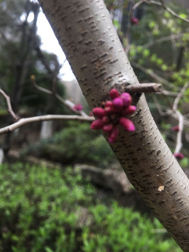 艾溪湖森林湿地公园旅行图片 3