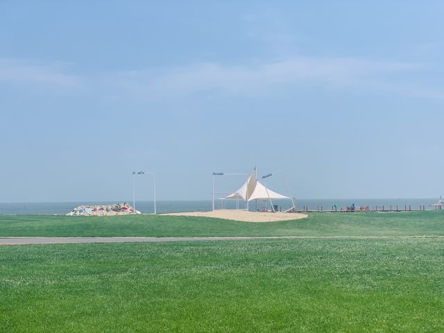 阿卡小镇海岸白帆旅行图片 3