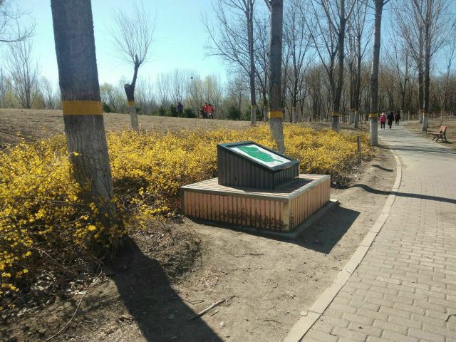 奥北森林公园二期北区旅行图片 2