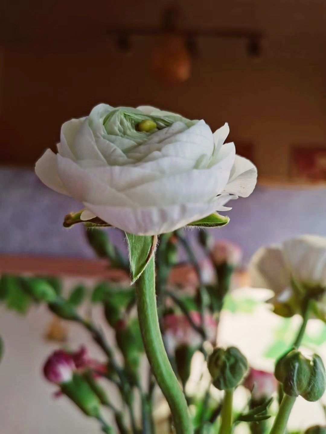 得快乐披萨(攸县店)