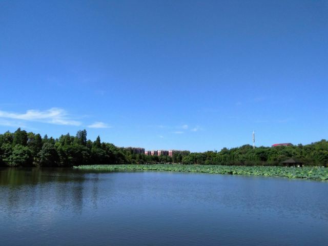 南湖景区旅行图片 1