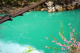 丙中洛，春探人神共居的世外桃源（美丽公路怒江大峡谷雾里村贡当神山秋那桶6日游）