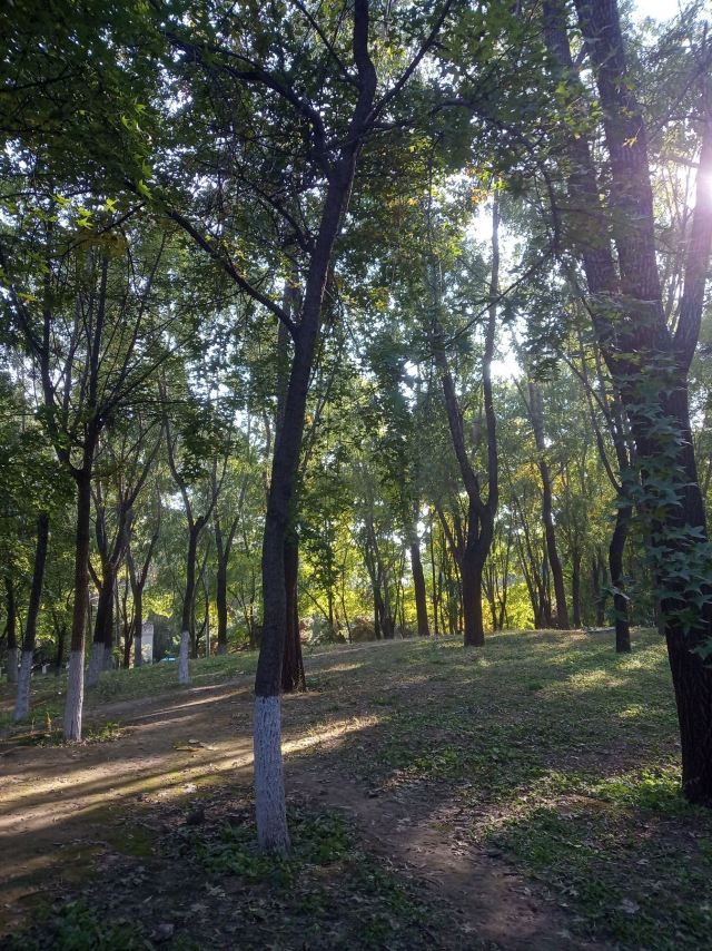奥北森林公园二期北区旅行图片 2