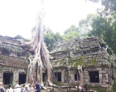 Ta Prohm寺庙-Tonle Bati-超级ctt