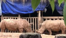 南宁动物园-南宁-笑一笑  百年少