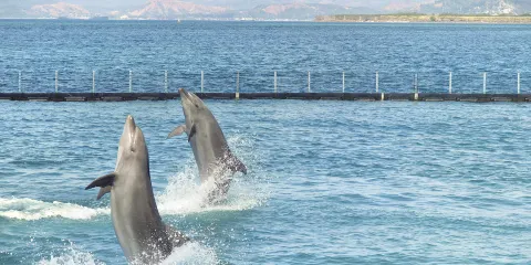 蘇碧灣海洋冒險樂園