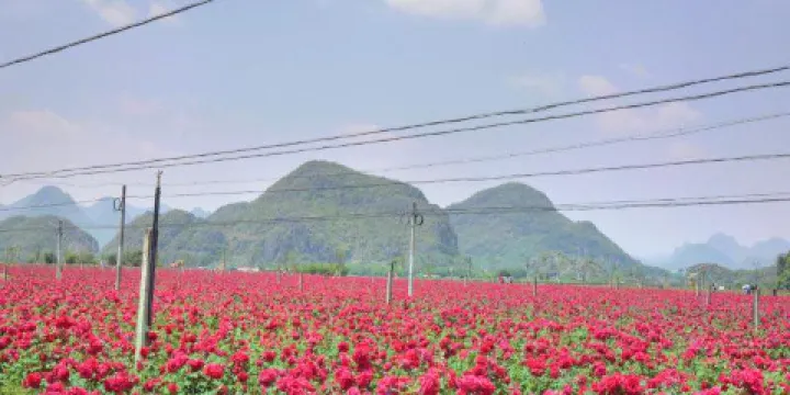 普者黑玫瑰莊園