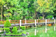 日本花园-马尼拉-doris圈圈