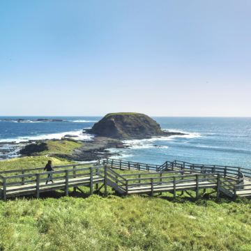 澳大利亚墨尔本菲利普岛一日游【埃尔法/奔驰V/12座包车】