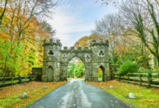 托丽莫尔森林公园景点图片