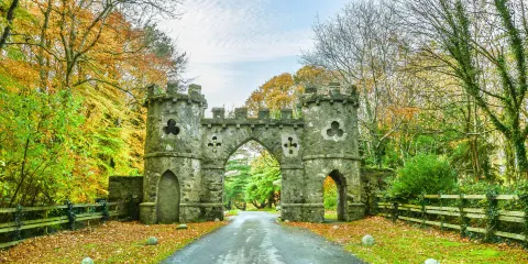 托麗莫爾森林公園