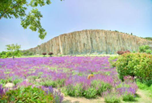 马山石林景点图片