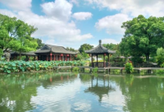 曾园赵园景点图片