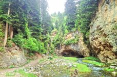 阿坝州纳摩大峡谷-若尔盖-走走-74511940